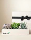 Custom Design Verdant Garden