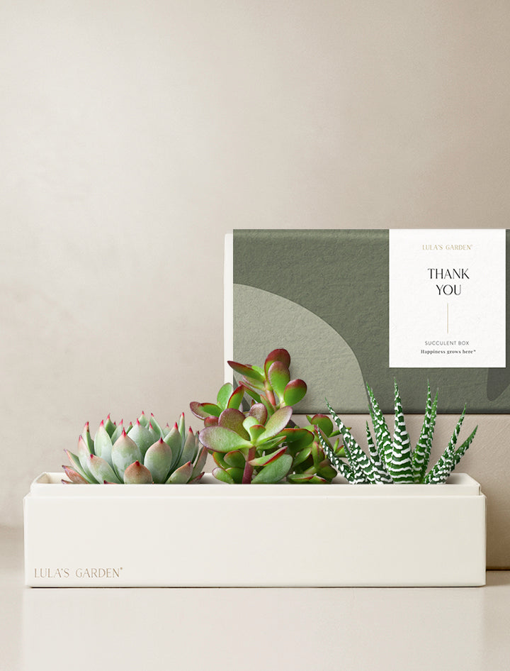 Thank You Verdant Garden