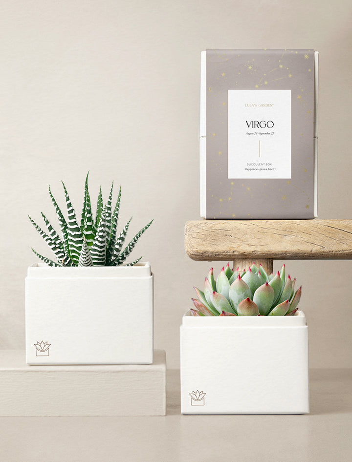 Virgo Garden