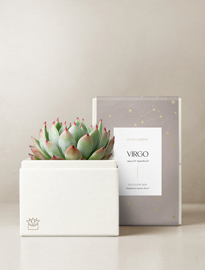 Virgo Garden