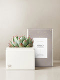 Virgo Garden