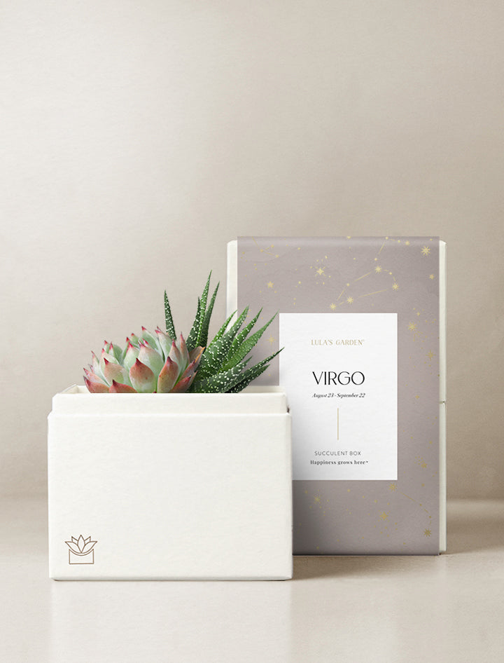 Virgo Garden