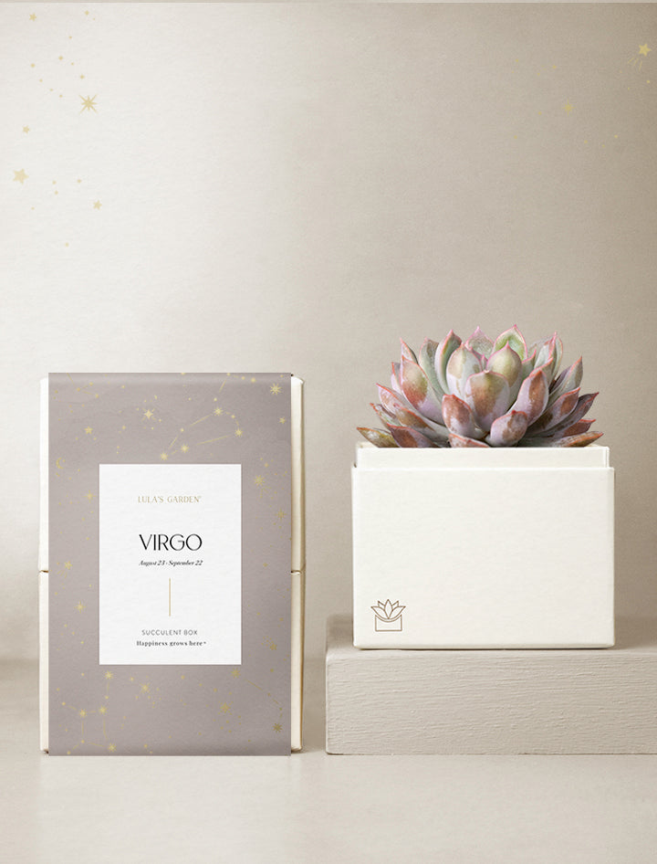 Virgo Garden