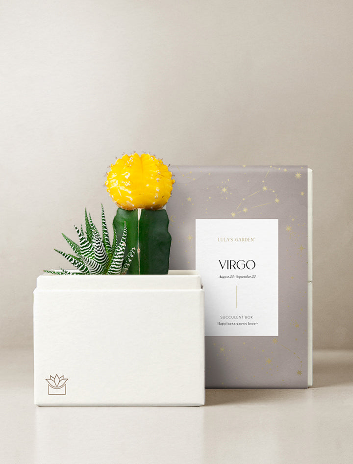 Virgo Garden