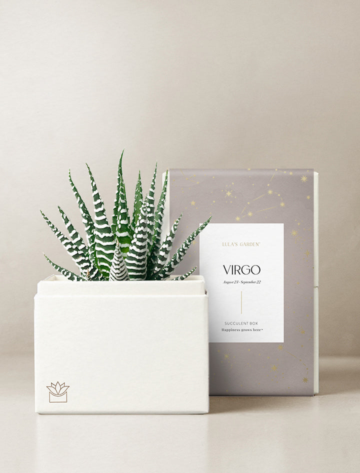 Virgo Garden