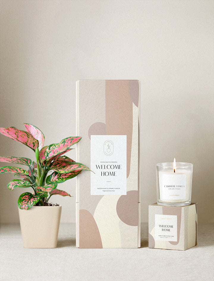 Welcome Home Plant Gift Set