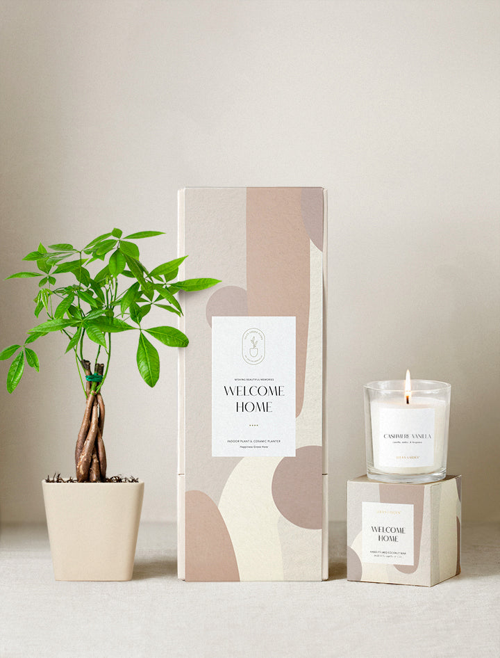 Welcome Home Plant Gift Set