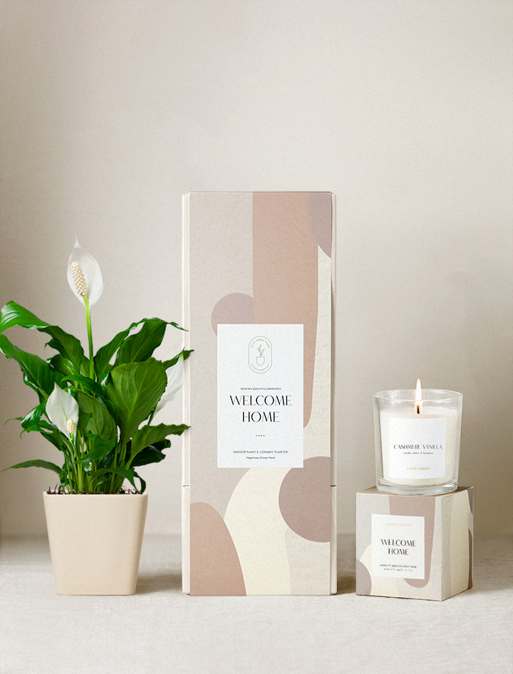 Welcome Home Plant Gift Set