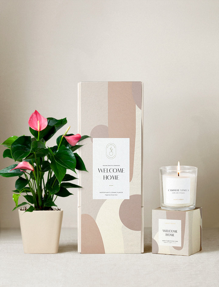 Welcome Home Plant Gift Set