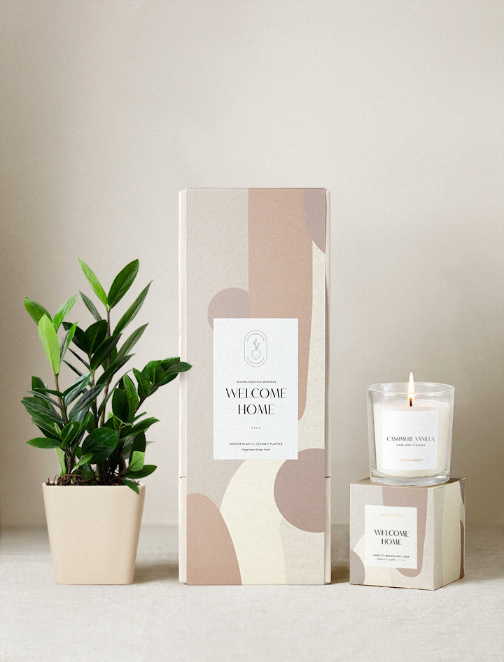 Welcome Home Plant Gift Set
