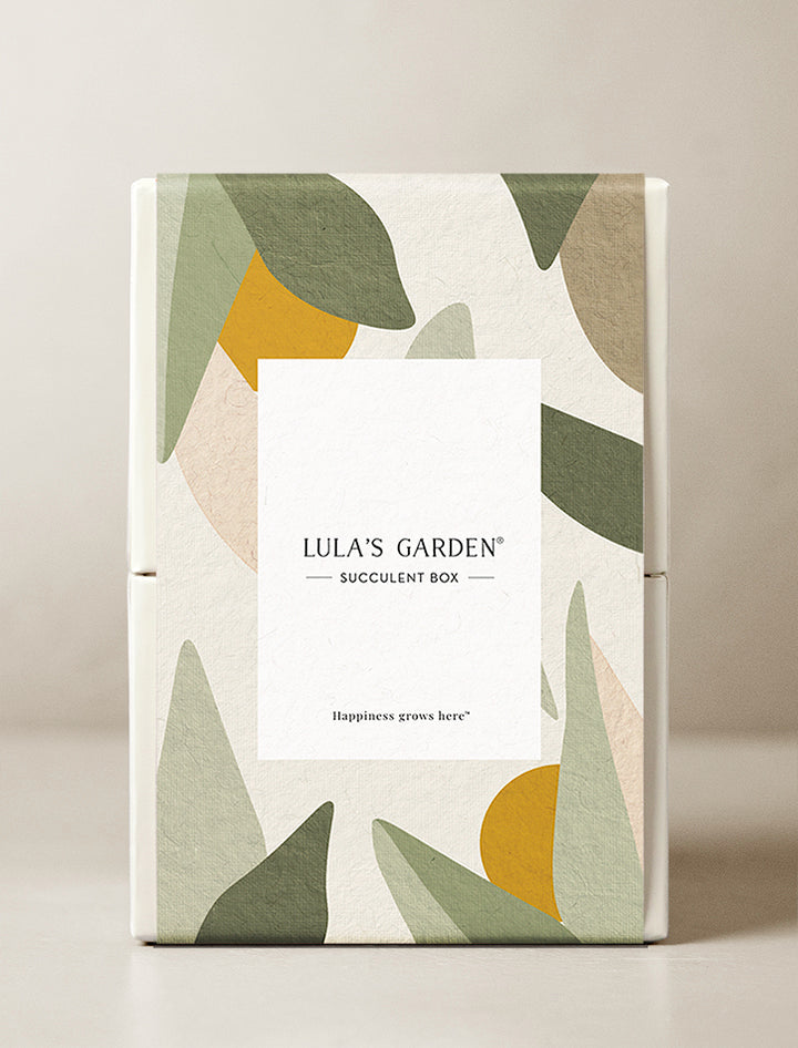 Lula's Garden Petite Zebra Garden
