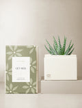 Get Well Petite Zebra Garden