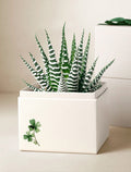 St Patrick's Day Petite Zebra Garden