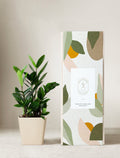 Lula's Garden ZZ Plant